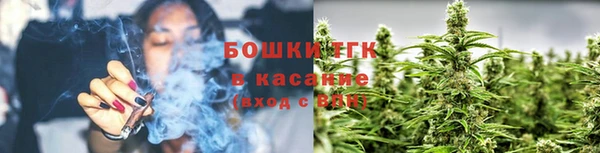 ПСИЛОЦИБИНОВЫЕ ГРИБЫ Алзамай