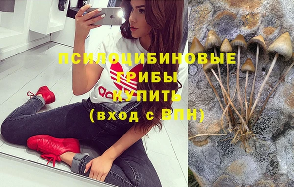 ПСИЛОЦИБИНОВЫЕ ГРИБЫ Алзамай
