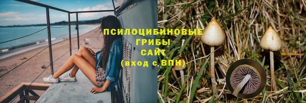 ПСИЛОЦИБИНОВЫЕ ГРИБЫ Алзамай