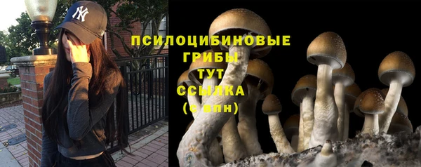 a pvp Алексин