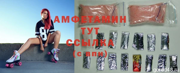 ПСИЛОЦИБИНОВЫЕ ГРИБЫ Алзамай