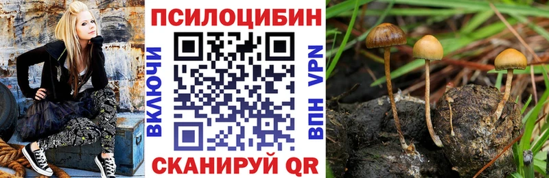 Галлюциногенные грибы ЛСД  купить закладку  Махачкала 